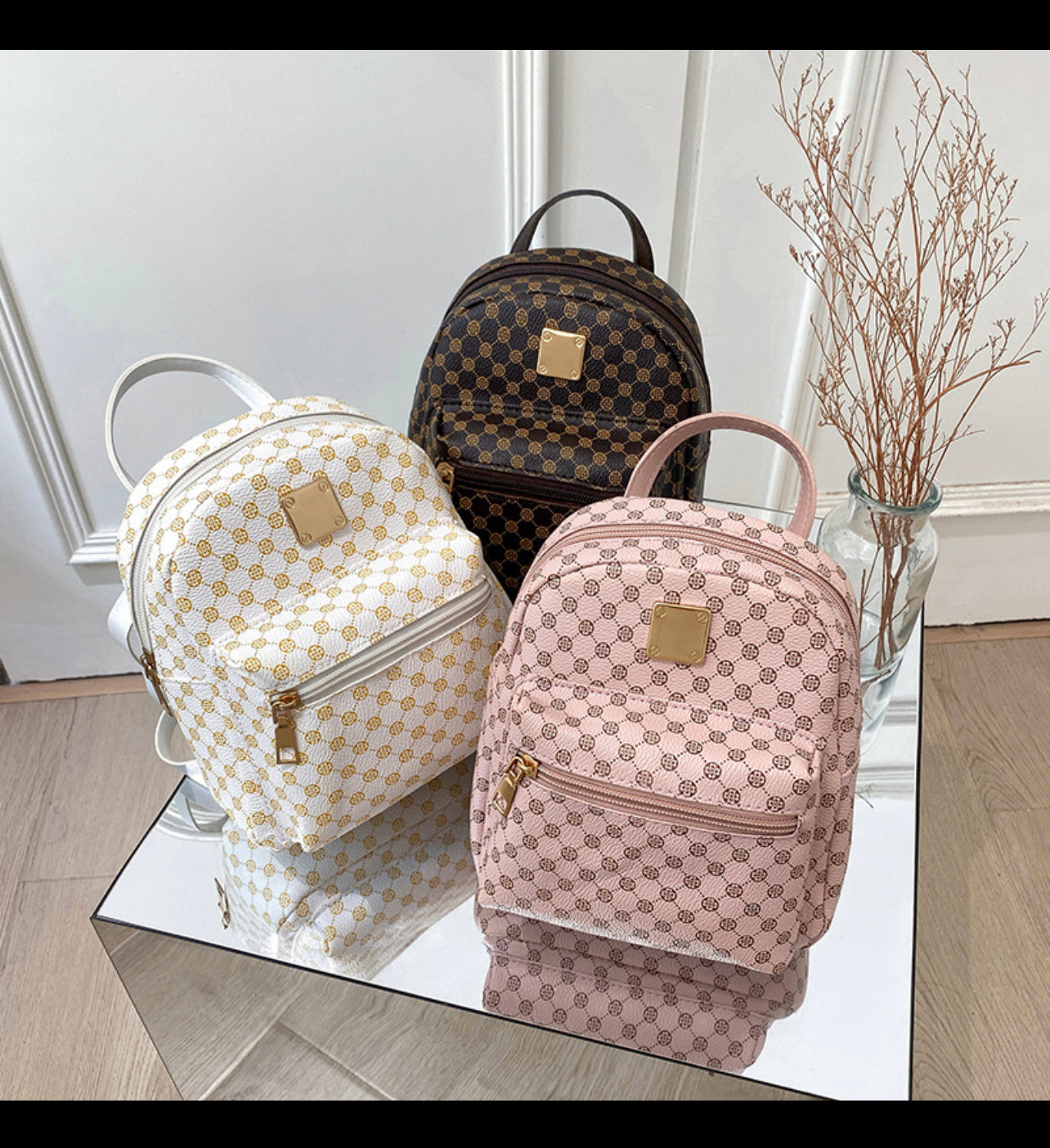 Back pack