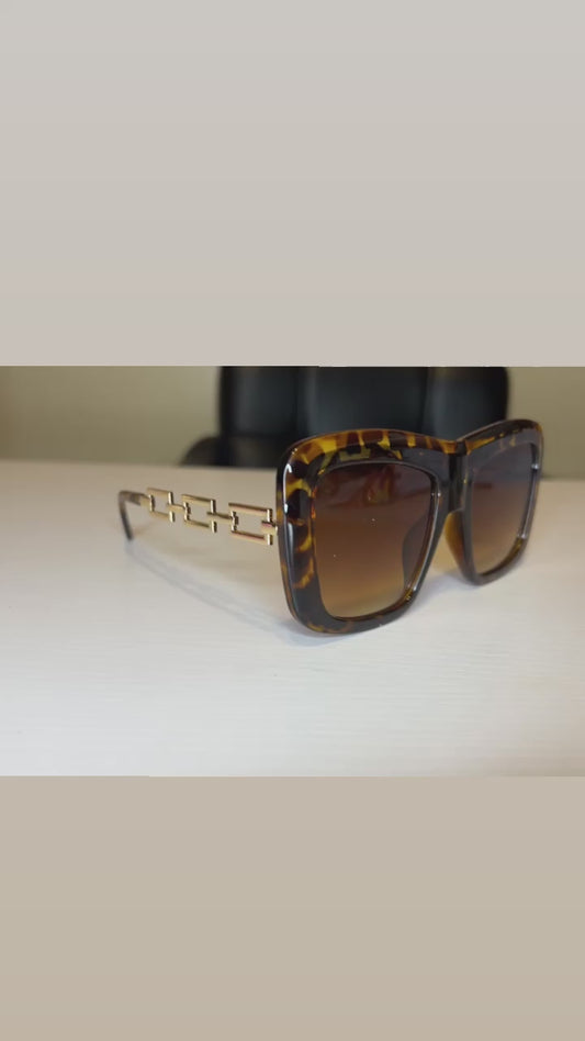 Glasses