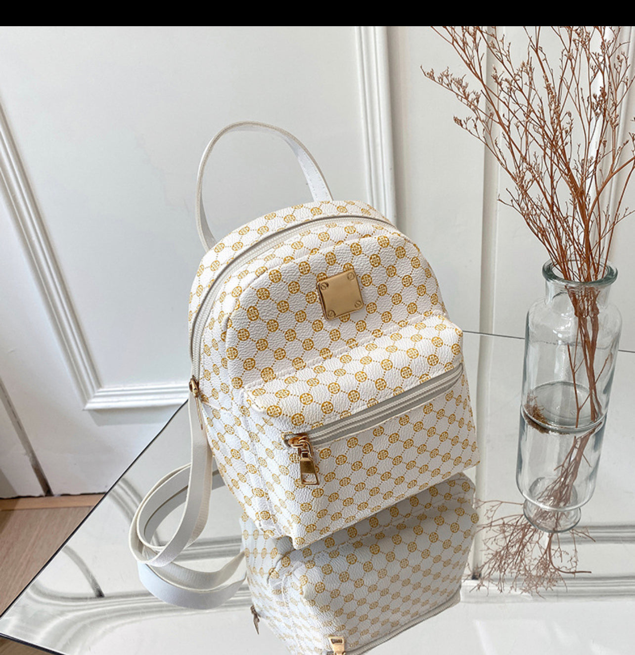 Back pack